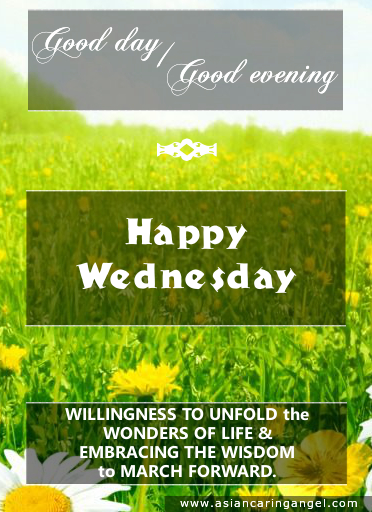 ACA'S DAILY WISHES_372X512_SET 1_DAY 3_WEDNESDAY_GREEN