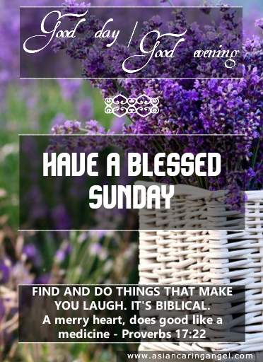 ACA'S DAILY WISHES_372X512_SET 1_DAY 7_SUNDAY_PURLE