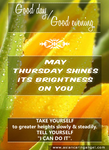 ACA'S DAILY WISHES_372X512_SET 2_DAY 4_THURSDAY_YELLOW