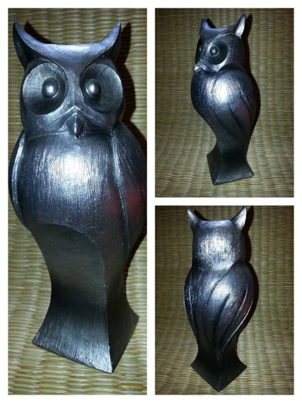 owl 11